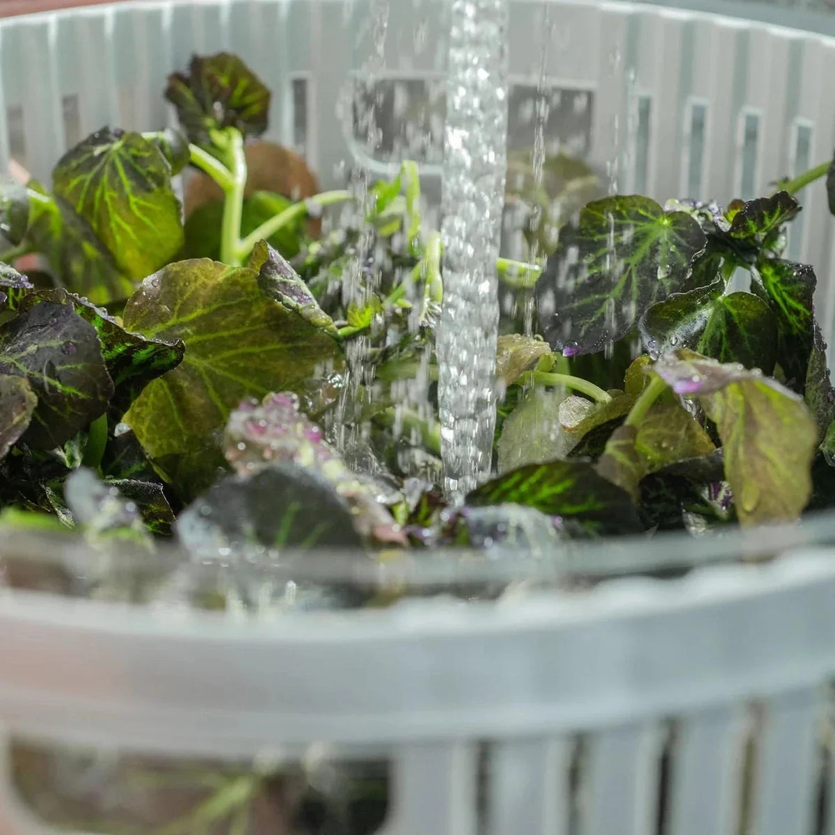 Secador de Saladas Ou 5,5L Linha Clear Fresh
